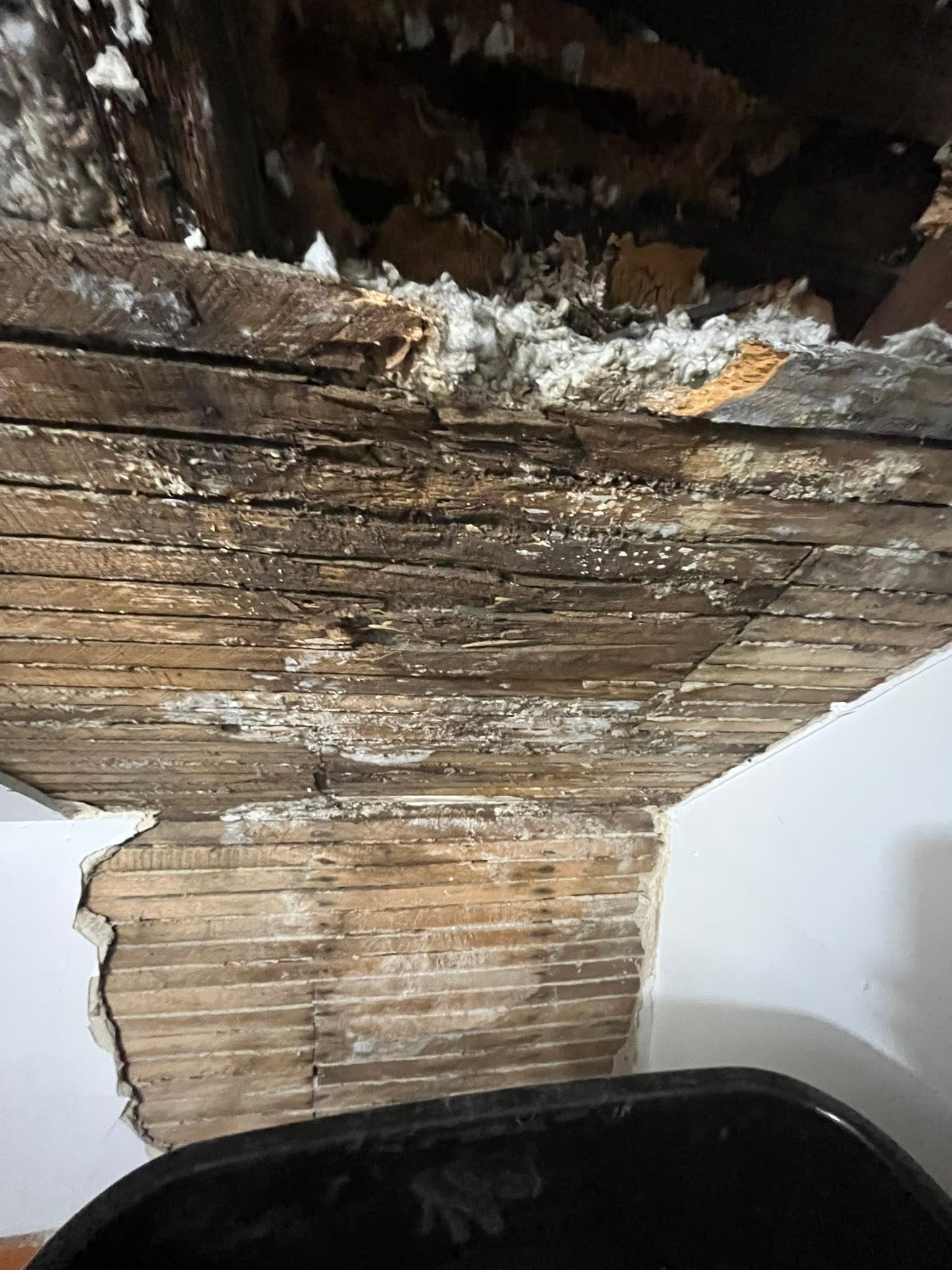 Mold Remediation